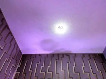 Bongacams Best live sex cam show of Deny-rose