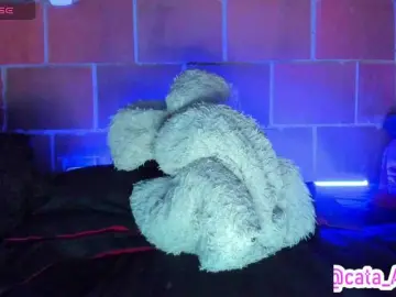 Bongacams Sex Cam of cata-anngel