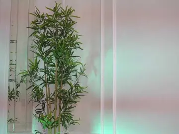 Bongacams Adult Webcams of ellacandy