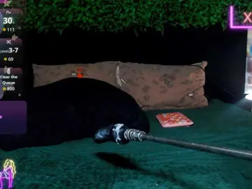 Bongacams Best Webcam of -alexis-