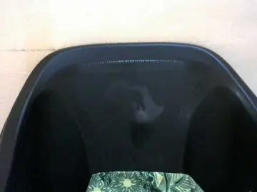 Bongacams Nude Webcam of Drippypussy07