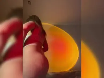 Bongacams Best Webcam of ninimimi5555