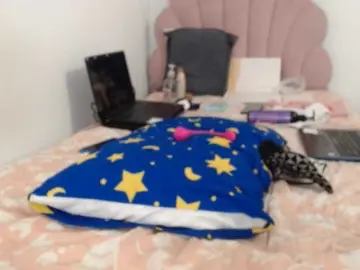 Bongacams Sex Cam of quenn-squirtanal