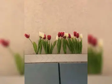 Bongacams Nude Webcam of KissMec