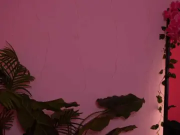 Bongacams Sex Cam of MilaFlame