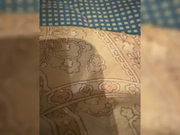 Bongacams Sex Chat of conceluna