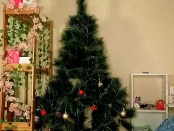 Bongacams Best Webcam of HoneyComfya