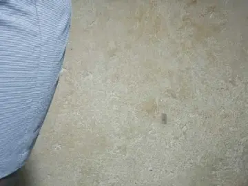 Bongacams Adult Webcams of sexxynila