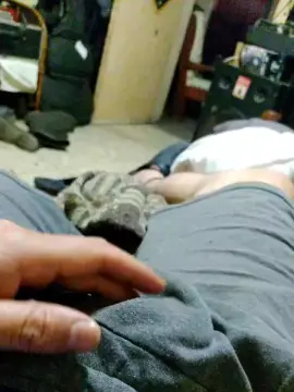 Cam4 Watch Live Sex Cams of Bosteroeze