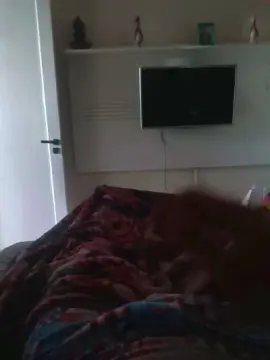 Cam4 Live Sex Cam of Harame