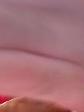 Cam4 Live Porn of robsonhaha