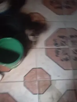 Cam4 Live Sex Cam of Comedorpiaui