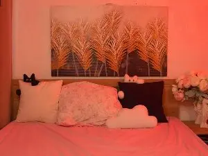 Cam4 Free Live Porn of s1lk_heart