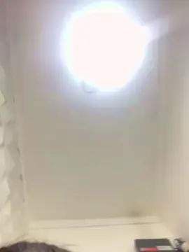 Cam4 Free Live Porn of Mirellaoliveira