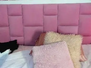 Cam4 Live Porn of chicomedusa