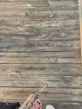 Cam4 Live Porn of raelynnbby