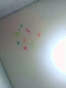 Cam4 Free Live Porn of CachonditoVIV