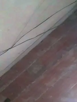 Cam4 Live Sex Cam of bastantefach1