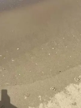 Cam4 Best live sex cam show of Esibizionista22