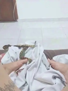 Cam4 Sex Chat of Tuttitundobuzz