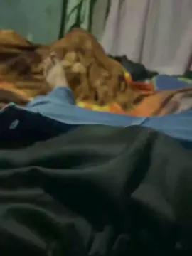 Cam4 Live Porn of Yisacodi