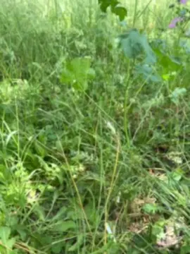 Cam4 Private Sex Chat of Xxlian23