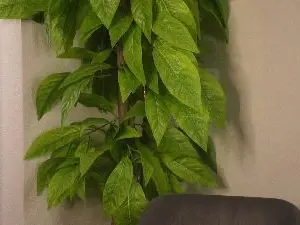 Cam4 Live Porn of RosaWeltmer