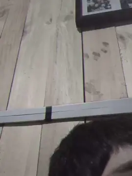 Cam4 Live Sex of Fsst4