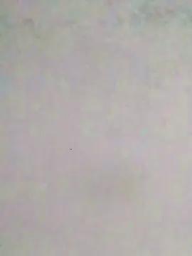 Cam4 Private Sex Chat of caedumar