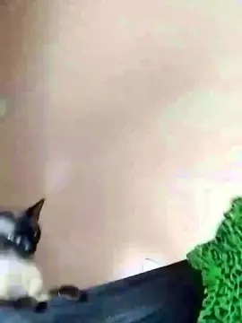 Cam4 Nude Webcam of caedumar