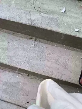 Cam4 Watch Live Sex Cams of Exoticboy24