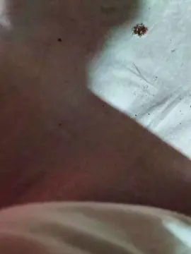 Cam4 Best live sex cam show of Exoticboy24