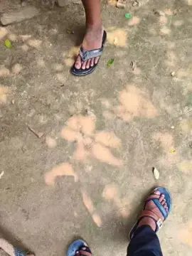 Cam4 Watch Live Sex Cams of Exoticboy24