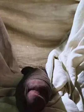 Cam4 Live Porn of Exoticboy24