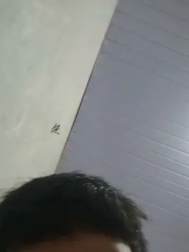 Cam4 Best live sex cam show of Josa040319