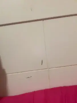 Cam4 Sex Cam of Denuevosaqui