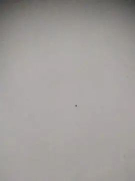 Cam4 Private Sex Chat of Heterodominador