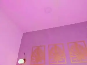 Cam4 Free Live Porn of majo_rose