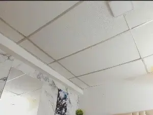 Cam4 Nude Webcam of emilyy__rosse