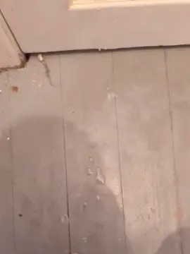 Cam4 Best live sex cam show of JustBryan1