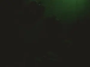 Cam4 Free Porn Cam of Nathalia_Looes