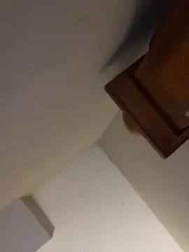 Cam4 Private Sex Chat of bbyjewel