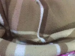 Cam4 Watch Live Sex Cams of hornessa1