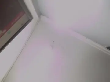 Cam4 Watch Live Sex Cams of AlanSmith_