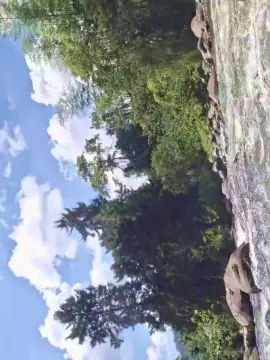 Cam4 Private Sex Chat of Clark_Jhonz