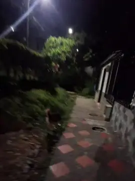 Cam4 Adult Webcam of Clark_Jhonz