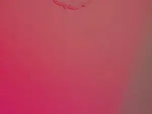 Cam4 Adult Webcams of DARKPIA