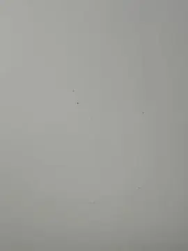 Cam4 Sex Cam of Isabloo1