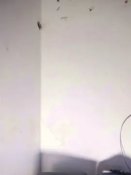 Cam4 Best live sex cam show of Max_hardPig