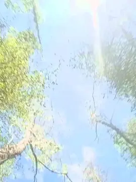 Cam4 Free Porn Cam of Hillbillysara